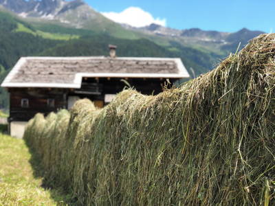 traditionelle Heuarbeit