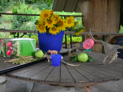 Bild 11 aus  Rouvenhof