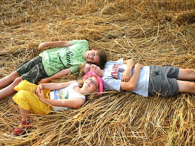 Bild 15 aus  Ferienhof Jehle