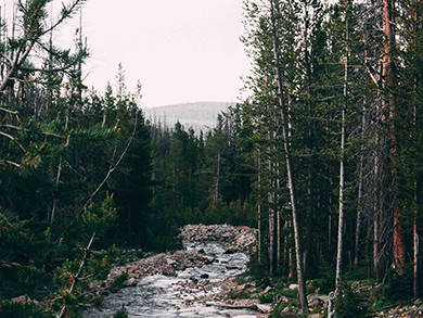 Bild 28 aus  RAMENAI Das Böhmerwaldlerdorf
