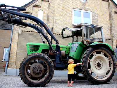 Bild 10 aus Büdl'farm - Der Familien-Erlebnishof