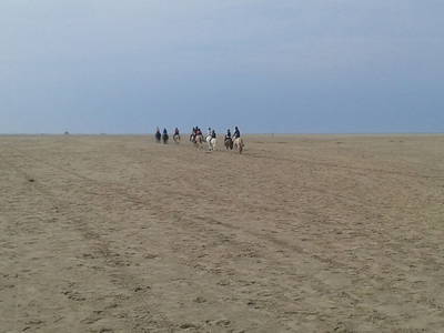 Bild 27 aus  Ferienhof Friedenshof