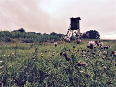 Bild 10 aus  Gut Burghof