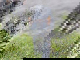 Bild 21 aus  Biohof-Rechenmacher GbR