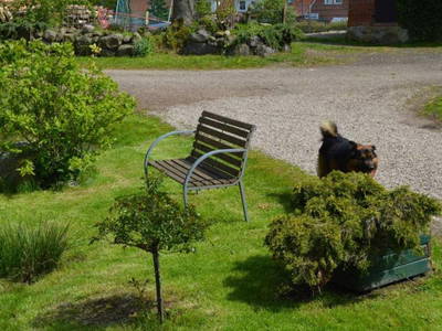 Ruheplatz am Wasser = Fischbeobachtungsposten