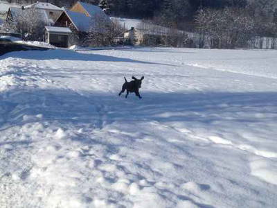 Bild 47 aus  Gästehaus im Lochautal