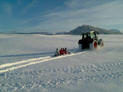 Bild 21 aus  Schädlerhof