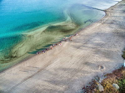 Bild 57 aus  Gestüt Hof am See