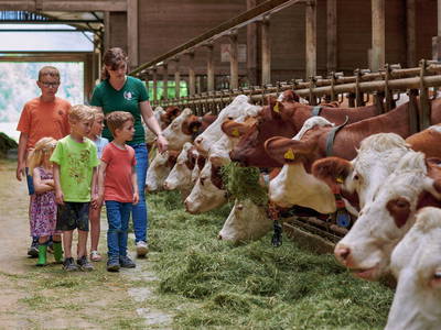 neugierige Blicke bei der Hofführung