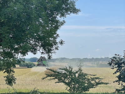 Bild 7 aus  Hof Schackenkamp  Urlaub an der Ostsee