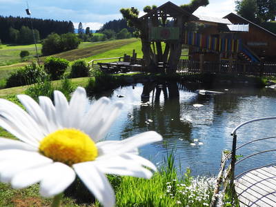 Bild 26 aus  Weidererhof