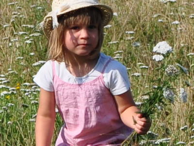 Bild 27 aus  Braunsberger Höfe