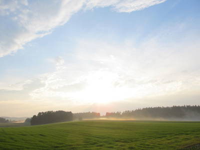 Bild 20 aus  Schwarz-Hof