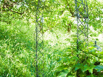 Bild 9 aus  Winzerhof Wiedemann