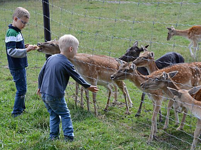 Bild 4 aus  Gut Grasbeck