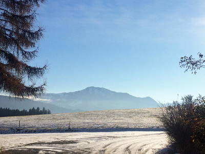 Bild 56 aus  Gmeinder's Landhaus