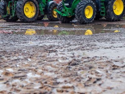 Bild 8 aus  FerienGut Dalwitz     www.feriengutdalwitz.de