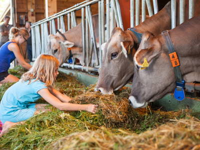 Bild 12 aus  Schädlerhof