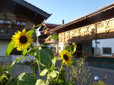 Bild 5 aus  Zacherlhof