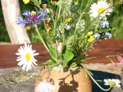 Bild 19 aus  Natururlaub mit Perspektivwechsel