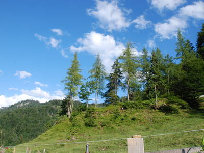 Bild 27 aus  Masererhof - Ferienbauernhof im Chiemgau