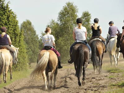 Bild 12 aus  Reiter- und Ferienhof Cohrs