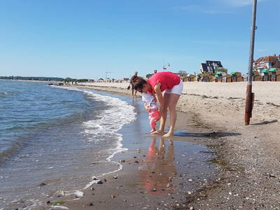 Bild 43 aus  Sonis kleine Farm Grömitz