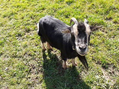 Bild 4 aus  Weberhof