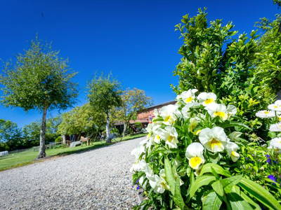 Bild 14 aus  Ferienhof Becker