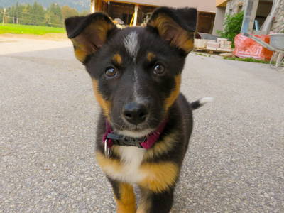 Bild 14 aus  Ferienheim Riedhof