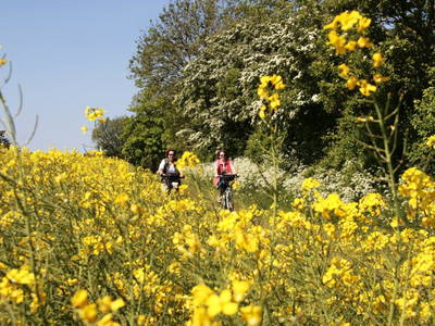 Bild 28 aus  LandSelection Ferienhäuser Bauernhof Haltermann Fehmarn