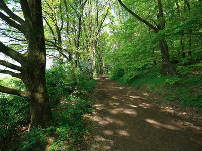 Bild 15 aus  Marienhof