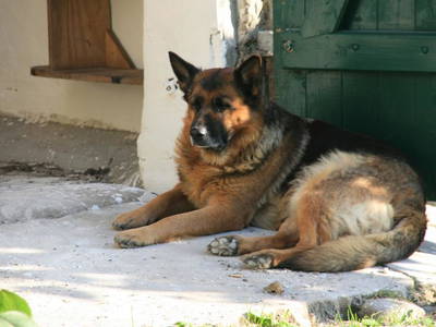 Bild 23 aus  Ferien am Schloss