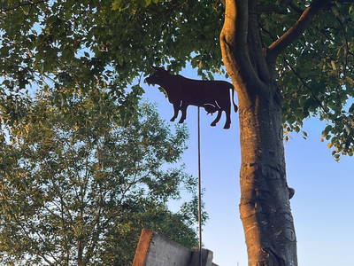 Bild 14 aus  Ferienhof Tödter