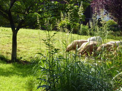 Bild 6 aus  Ferienwohnung Flender