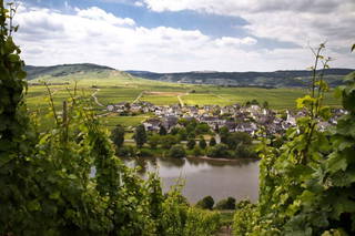 Weingut Winnebeck inmitten der Weinberge aus Köwerich