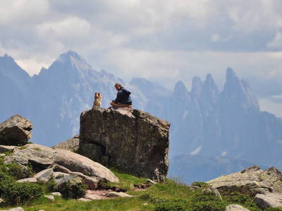 Bild 13 aus  Biobergbauernhof Garmesegg