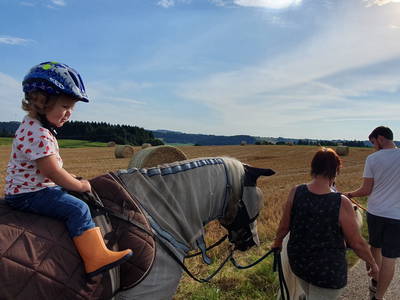 Bild 14 aus  Ferienhof Kober