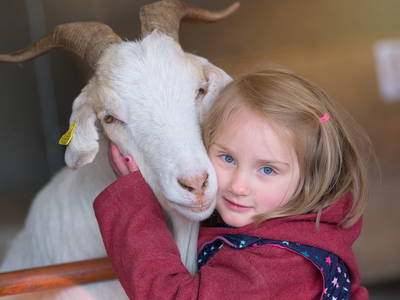 Ziegenliebe