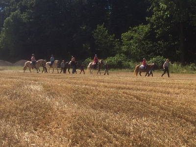 Bild 10 aus  Baustrup Hof