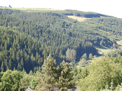 Bild 30 aus  Steffahof - Mitglied von LandSelection