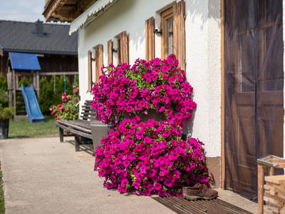 Bild 43 aus  Narzenhof Chalets, Familien & luxus Apartments am Bauernhof, Kitzbühler Alpen