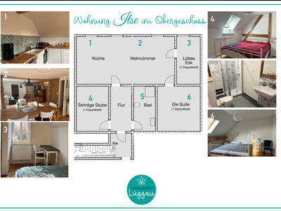 Bild 10 aus  Wendlandhof Lüggau