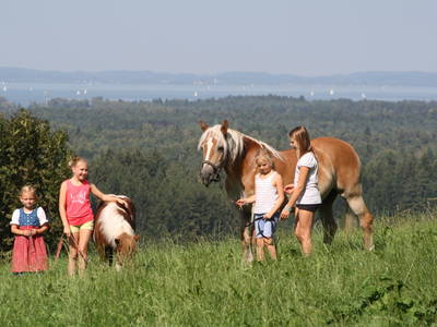 Bild 4 aus  Wastelbauerhof in Bernau am Chiemsee