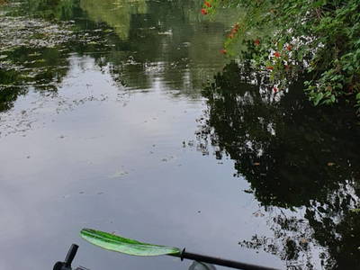 Bild 13 aus  Hof Alte Zeiten