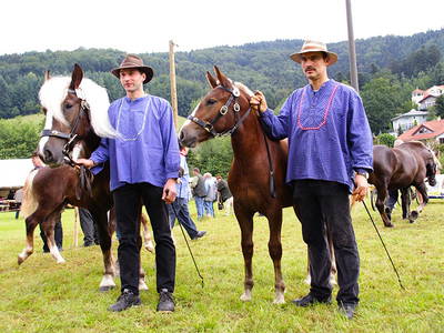 Bild 13 aus  Danielenhof