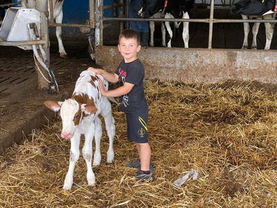 Bild 5 aus  Wieserhof