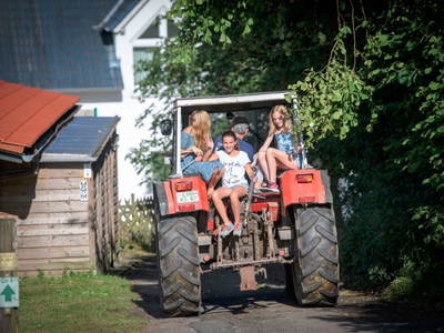 Bild 3 aus  Ferienhof Christmann