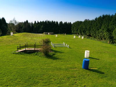 Ein Teil der Working Wiese