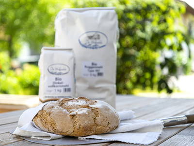 Bild 36 aus  Springerhof